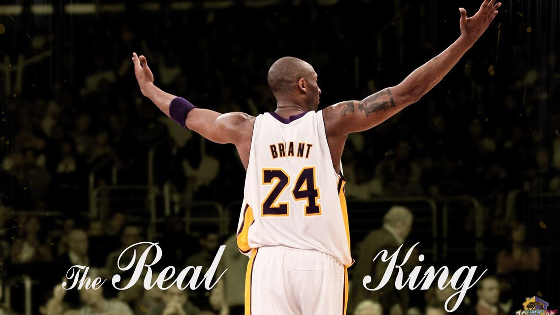 哈兰德无球表现惊艳，瓜迪奥拉前锋体系初见成效，哈兰德踢什么位置